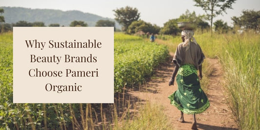 Why Sustainable Beauty Brands Choose Pameri Organic